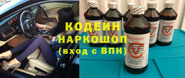 прущие грибы Алзамай