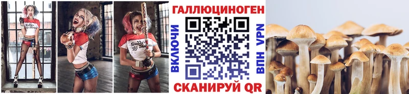Псилоцибиновые грибы Magic Shrooms  Киреевск 