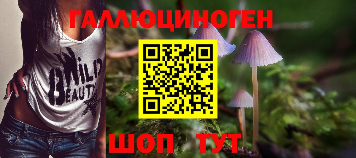 Галлюциногенные грибы Psilocybe  Вход с VPN  Киреевск  Псилоцибиновые грибы Magic Shrooms 